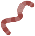 Earthworm.png