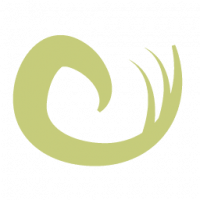 Lock of the Magus.png