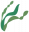 Seaweed.png