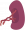 Spleen.png