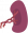 Spleen.png