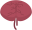 Brain.png