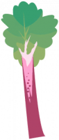 Rhubarb.png
