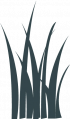 TallGrass.png