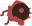 Dog Eye.png