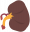 Kidney.png