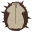 Hedgehog Suit.png
