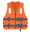 Life Vest.png