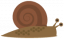 Snail.png