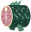 Salted Fish.png