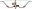 Impala Gravita.png