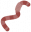 Earthworm.png