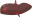 Liver.png