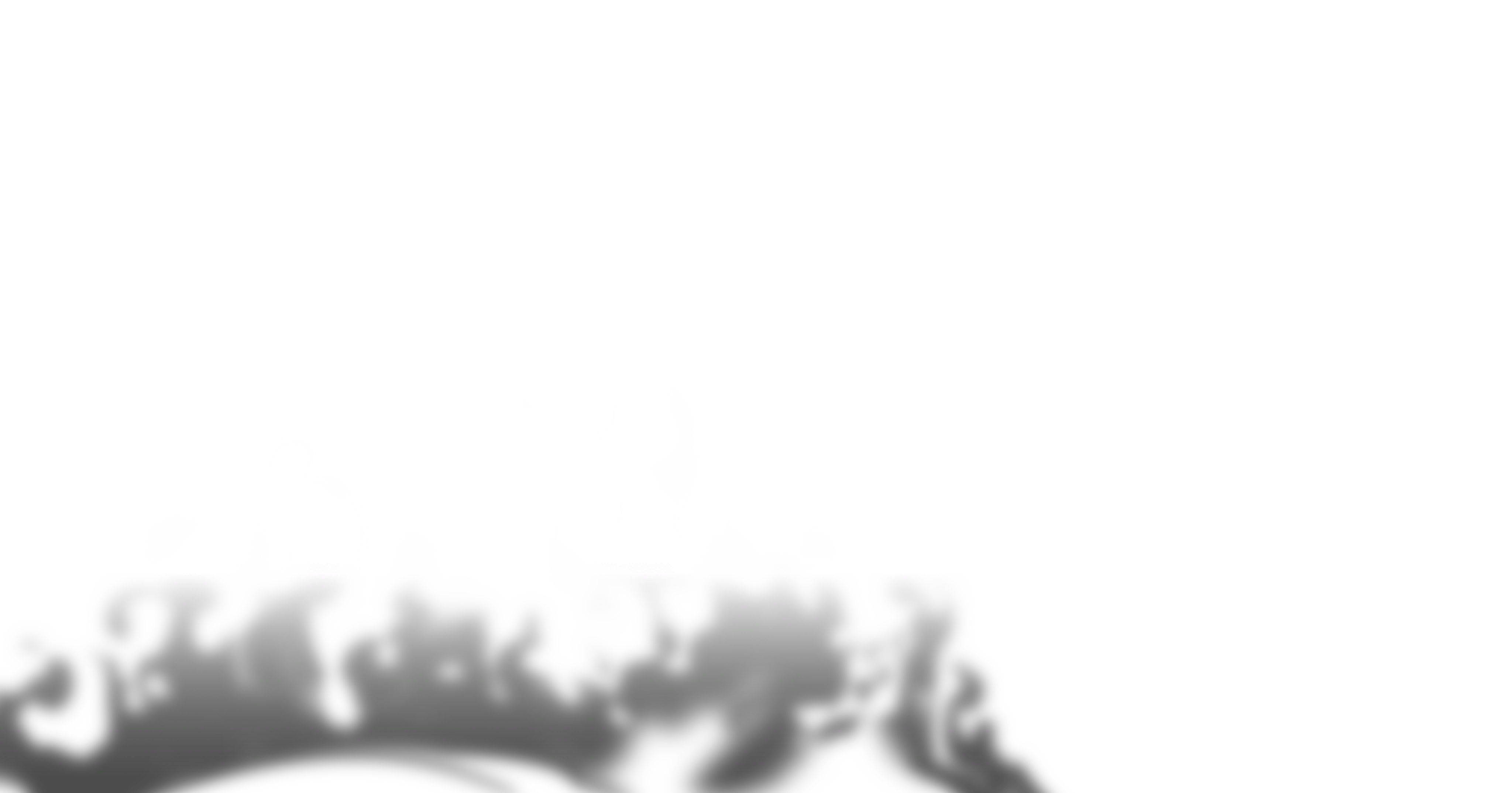 虚空之火前景.png