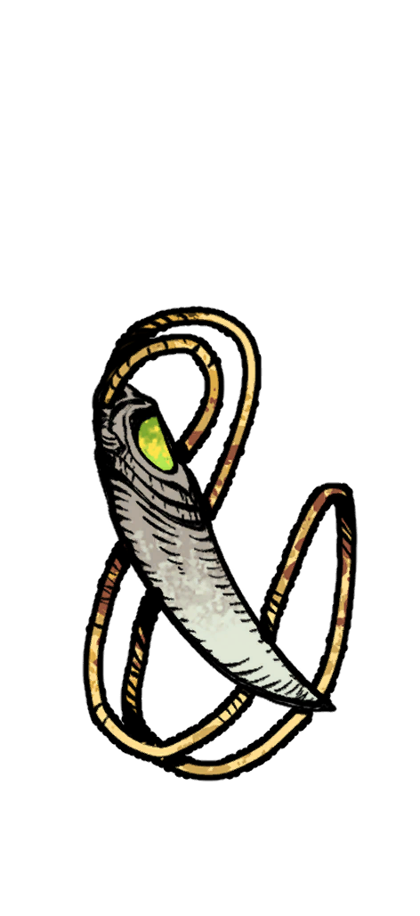幸运护符-无背景.png