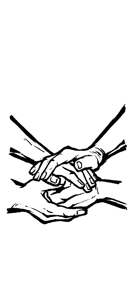 善名的遮掩-无背景.png