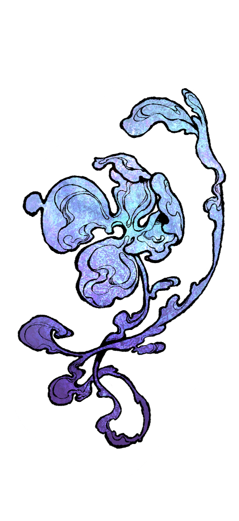 紫色的花-无背景.png