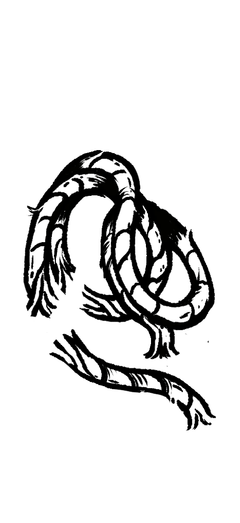 一截斩断的绳索-无背景.png