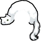 猫猫标记2.png