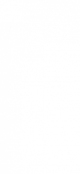文件:隐身衣-无背景.png