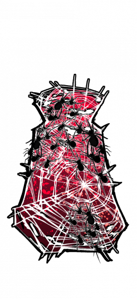 文件:蜘蛛斗篷-无背景.png