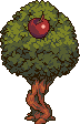 Apple tree stages 7.png