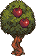 Apple tree stages 8.png