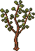 Apple tree stages 3.png