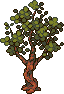 Apple tree stages 4.png