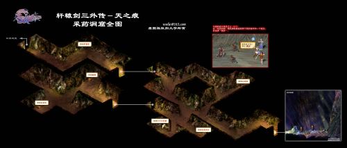 20 采~1.JPG