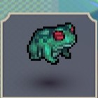 樹蛙.jpg