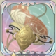 靈狐之矜.png