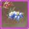 大蓝花.png