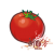 番茄.png