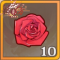 蔷薇x10.png
