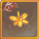 周年七棱星.png