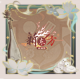 头像框-玉霄吟.png