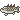 Fish21.png