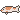 Fish 16.png