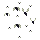 蚊群.png