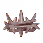 荆棘王冠.png