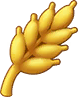 小麦.png
