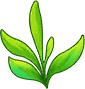 茶树.png