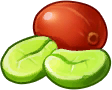 咖啡树.png