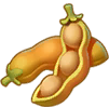 黄豆.png