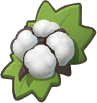 棉花.png