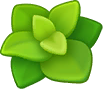 薄荷.png
