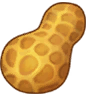花生植物.png