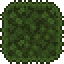 Jungle Wall (placed).png