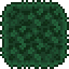 Grass Wall (placed).png